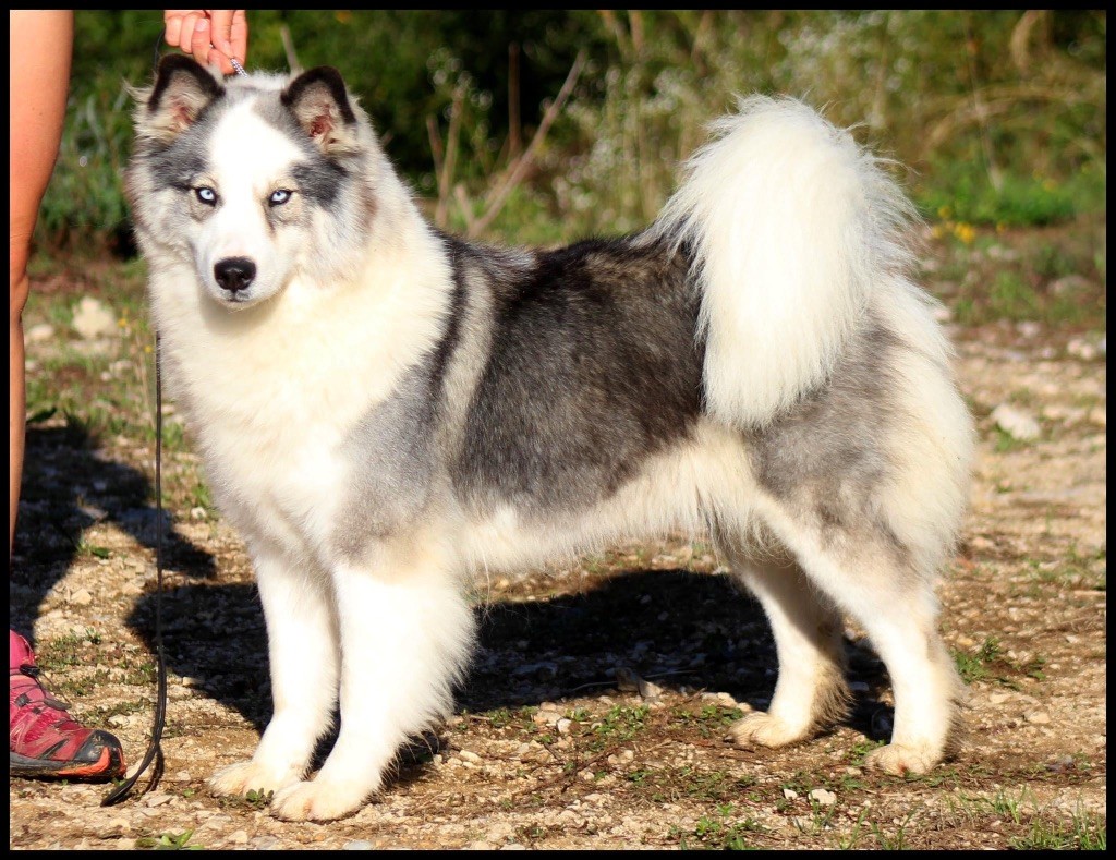 Prada L'eden Des Shokou