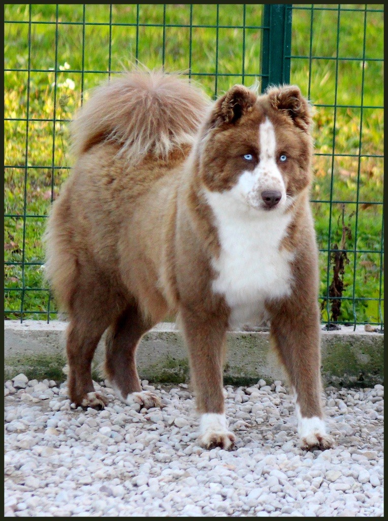 olgrin Zhe tem dite "Jenya"