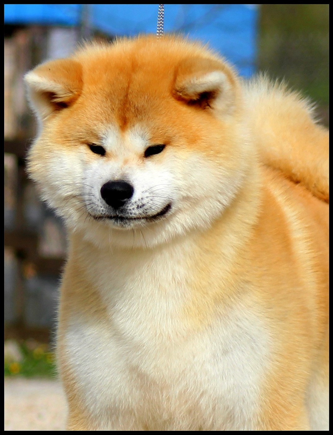 P'Tenkei Go L'eden Des Shokou