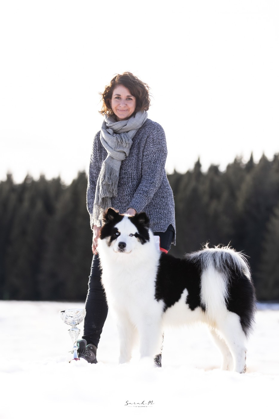 andkoll Ir Lel Smaile of the Sun